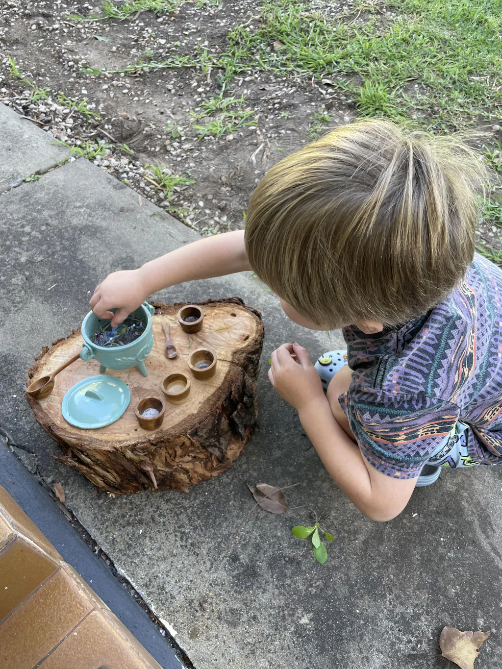 The Little Potion Co