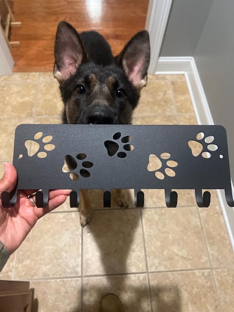 Walking Paws Key Holder & Dog Leash Hanger