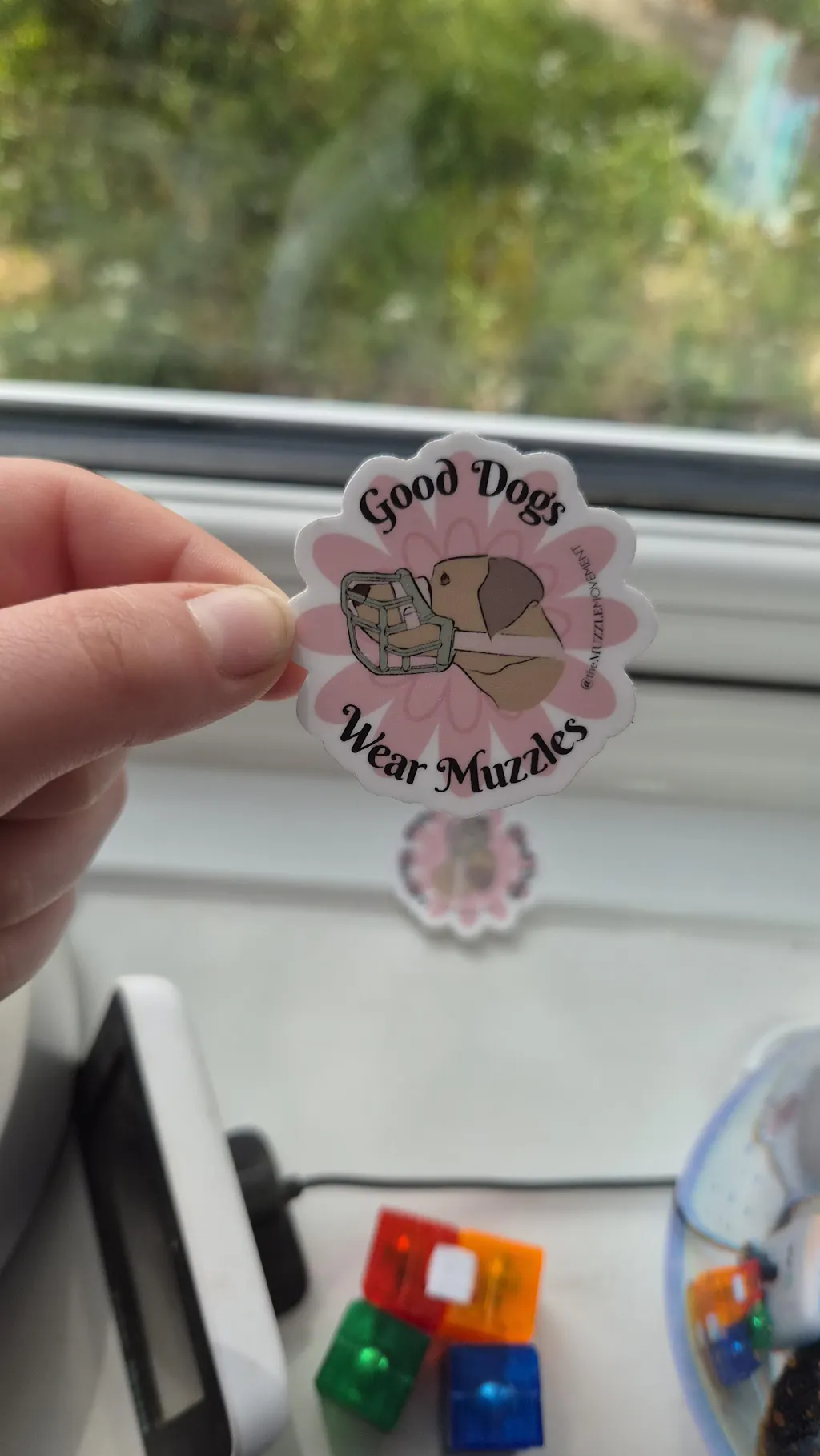 Size Tolly Dog Muzzle - Made to order muzzle with colour customisation