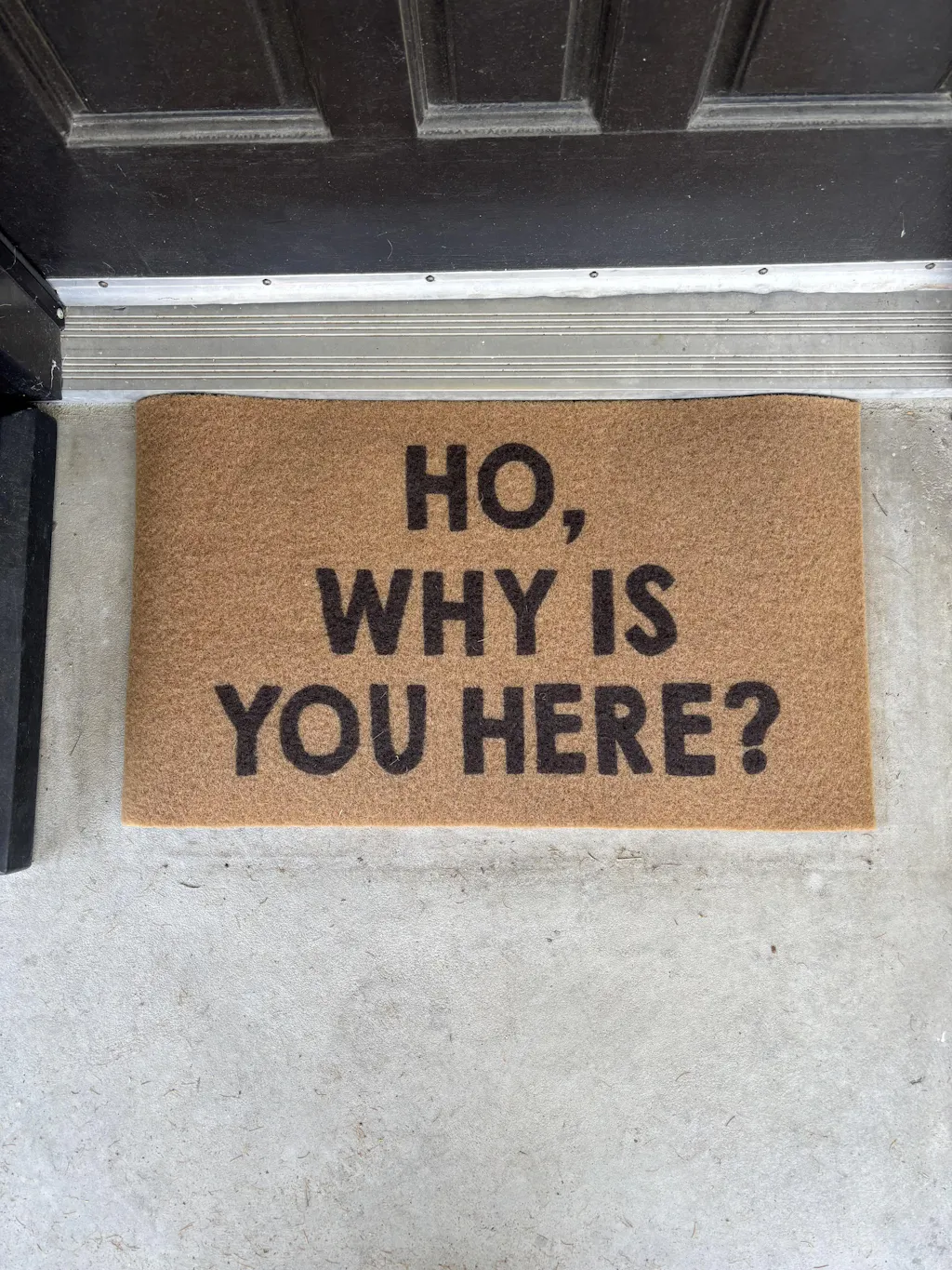 Ho, Why is You Here? Door Mat – The Original Underground