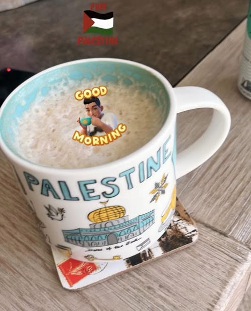 Palestine Mug