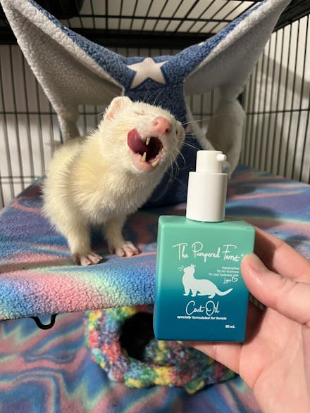 Moisturizing Coat Oil for Ferrets