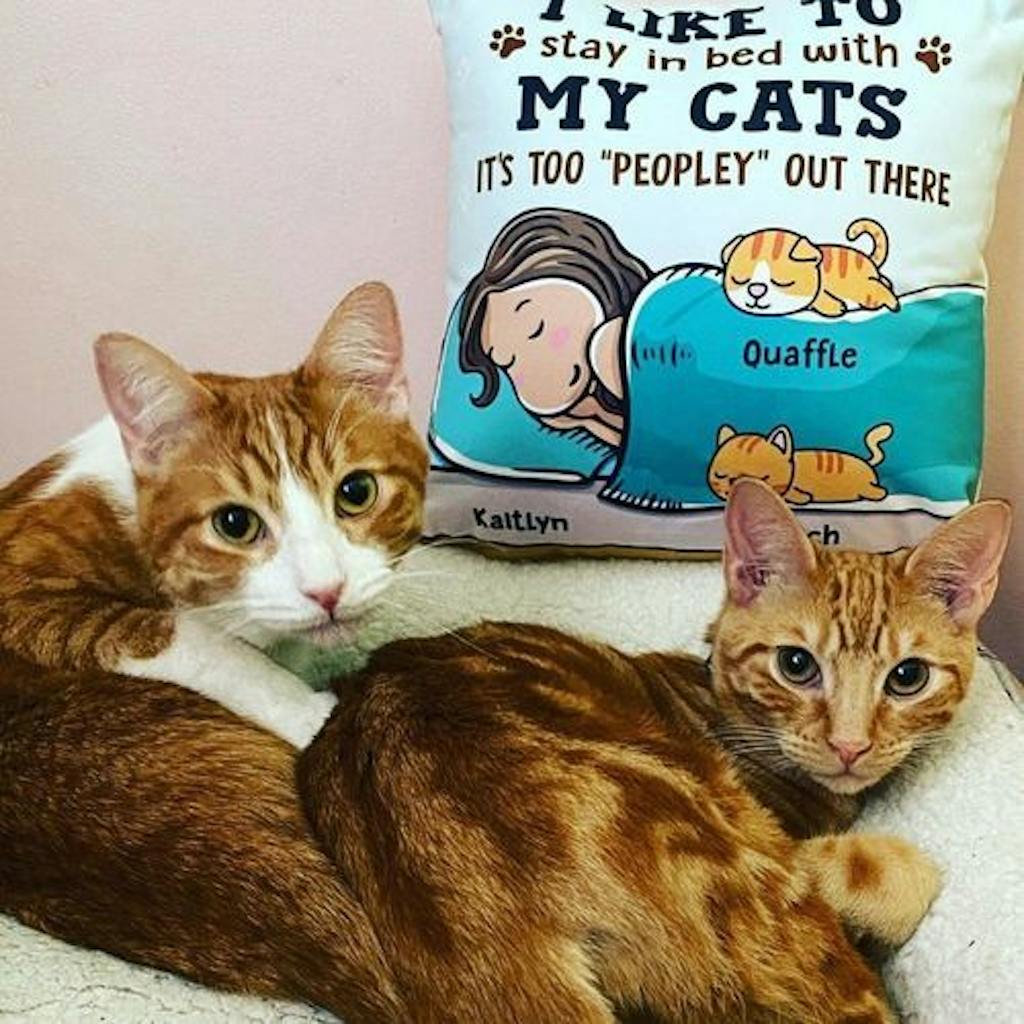 Pet's Face On A Pillow Personalized Pillow (Insert Included