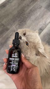 IMMUNE BOOST - SUPER 7 MUSHROOMS - CATS