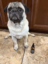 ITCH RESCUE - ALLERGY RELIEF - DOGS
