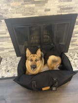 LV Luxury Pomeranian Dog Car Seat – PomPlanet