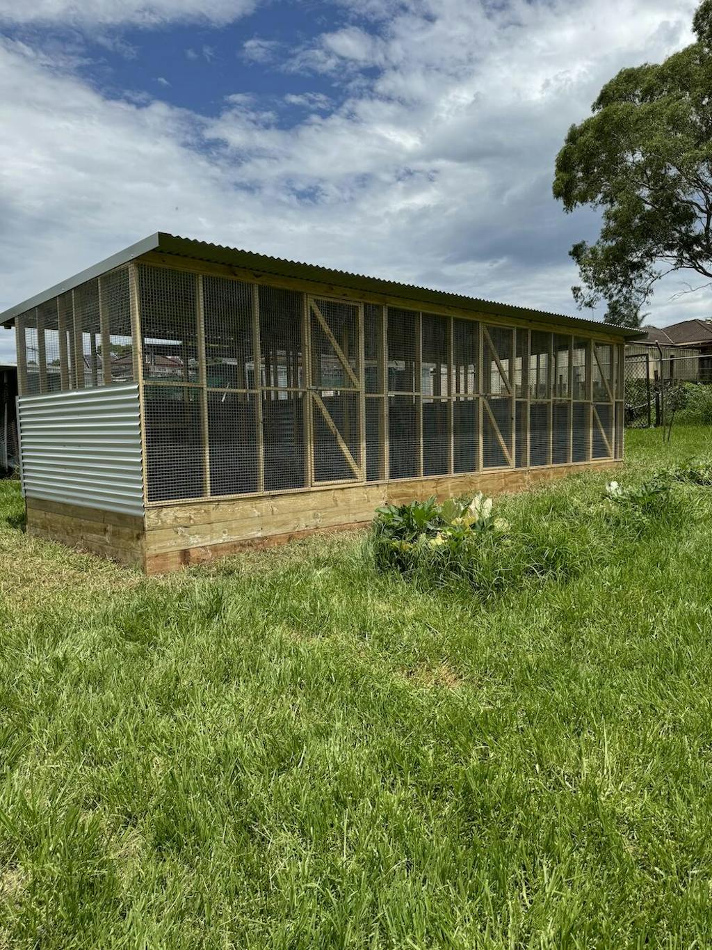 The Poodle and The Hen