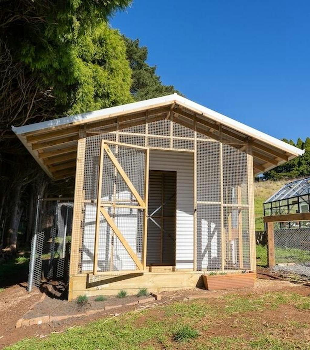 The Poodle and The Hen