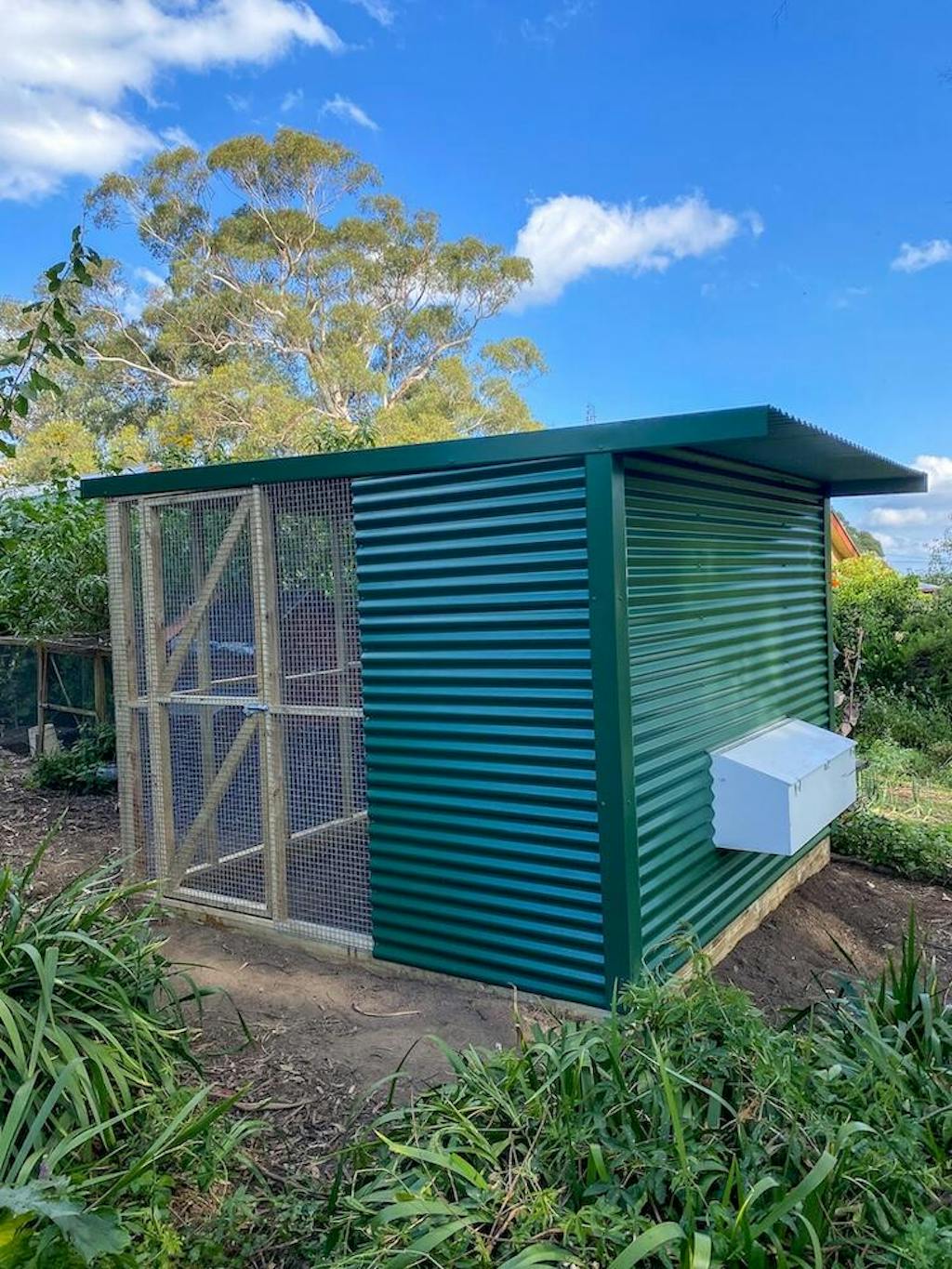 The Poodle and The Hen