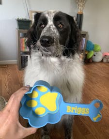 Personalized Dog Food Scoop | Paw Print Measuring Cup