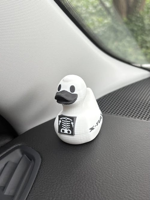 X-Ray Tech Duck