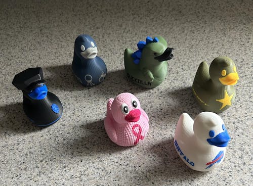 Buffalo Bills Duck