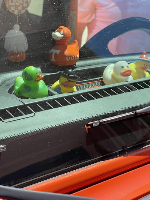The Quacktory