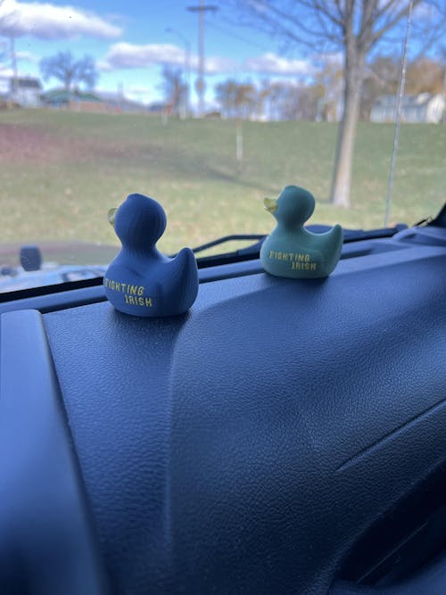 Notre Dame Fighting Irish Duck