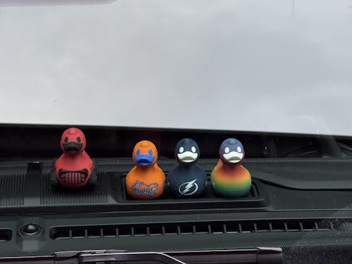 Tampa Bay Lightning Duck