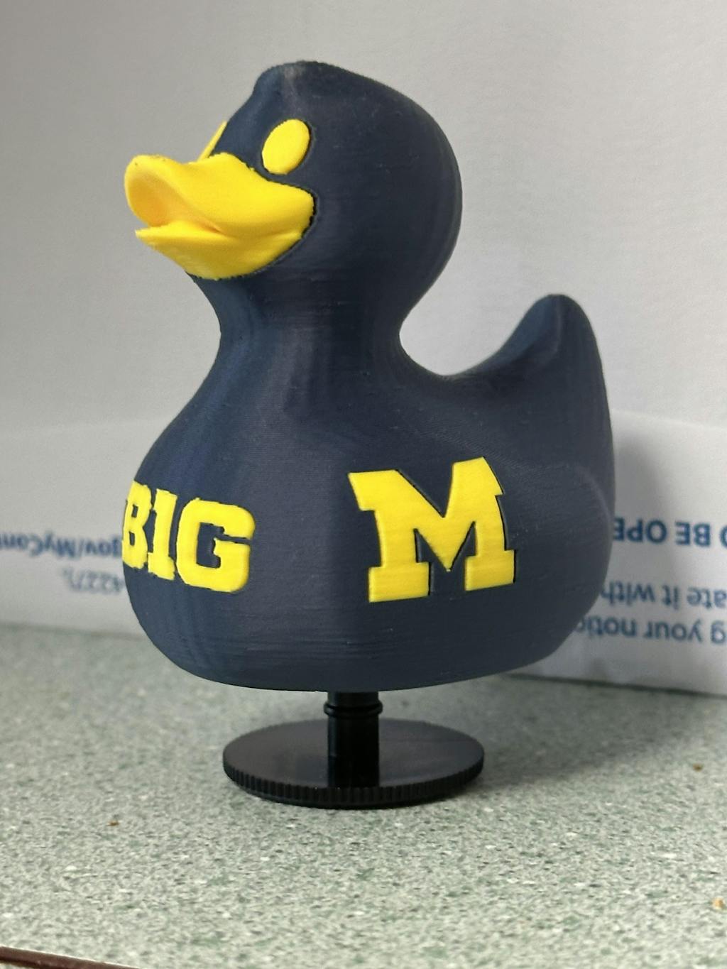 University Of Michigan Wolverines Duck