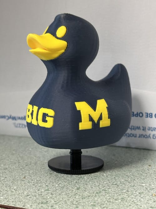 University Of Michigan Wolverines Duck