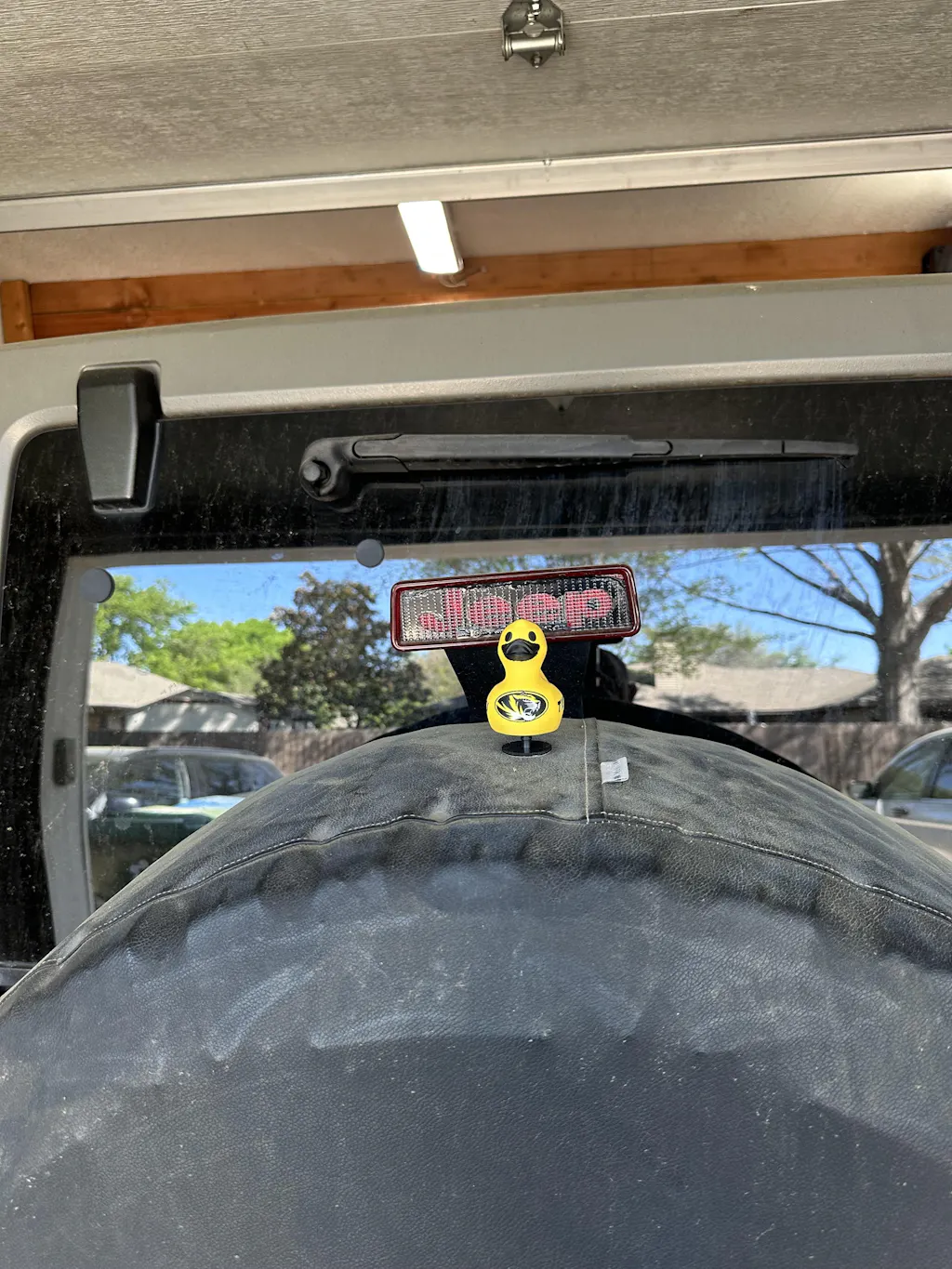 Missouri Tigers Duck