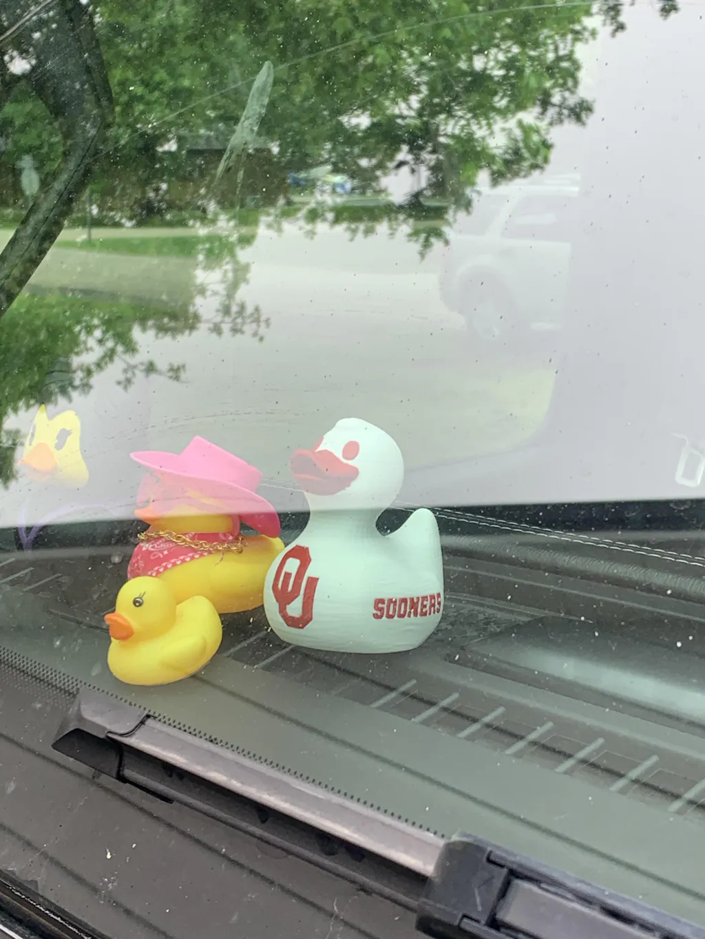 Oklahoma Sooners Duck