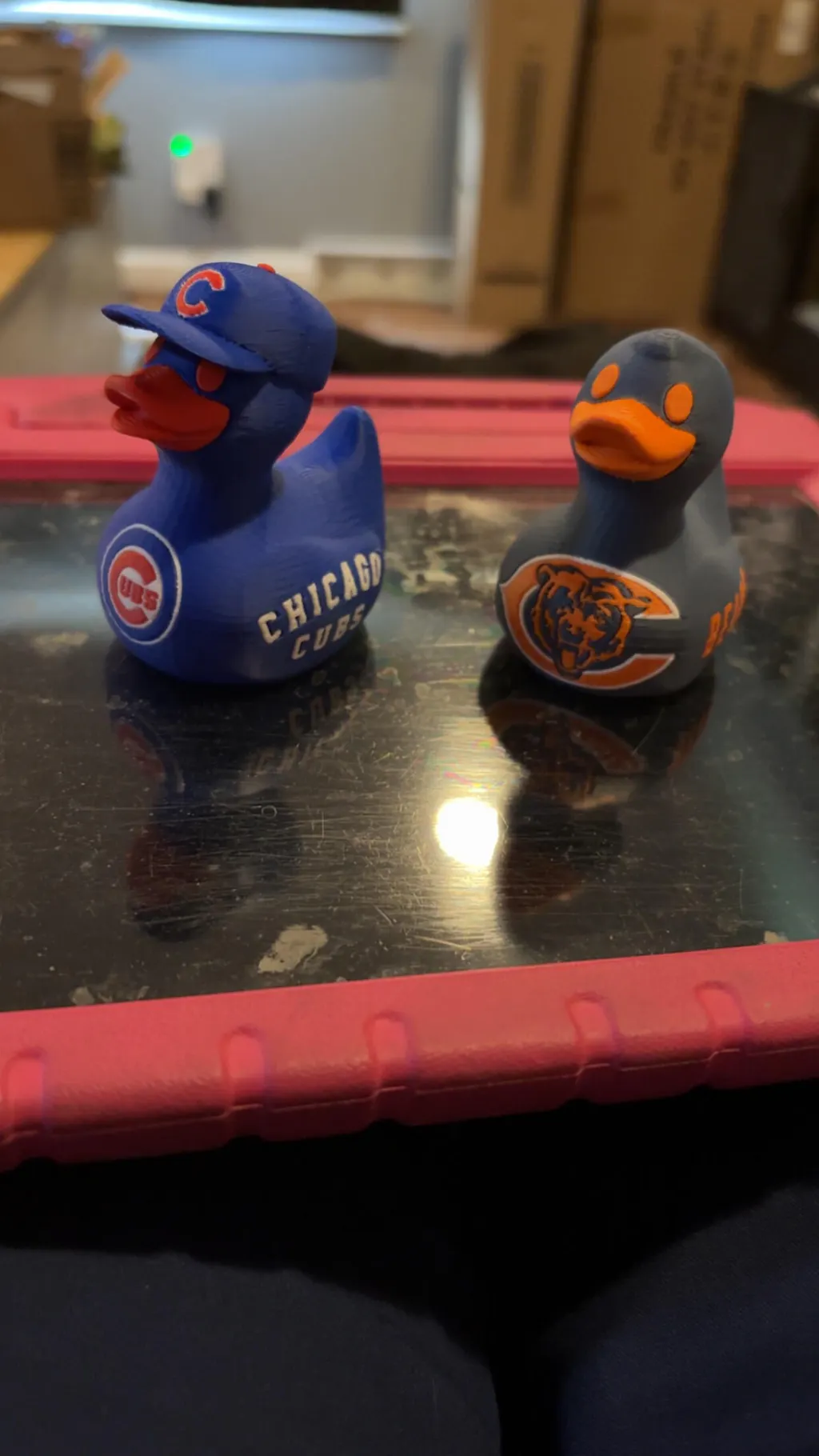 Chicago Cubs Duck