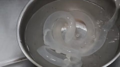 Natural Sheep Casings 22-24mm