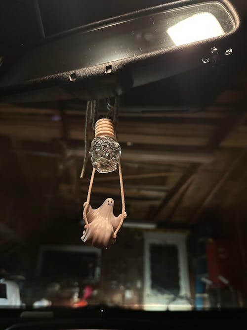 Spooky Skull Diffusers