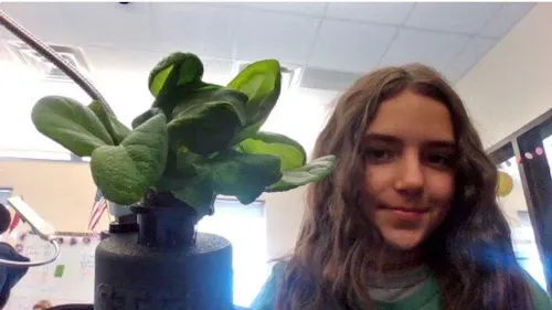 Students working on hydroponic system
