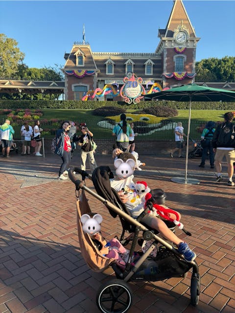 Stroller Sling™ – Black Fox Edition