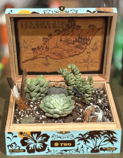 Succulents of the Month Club Subscription Box