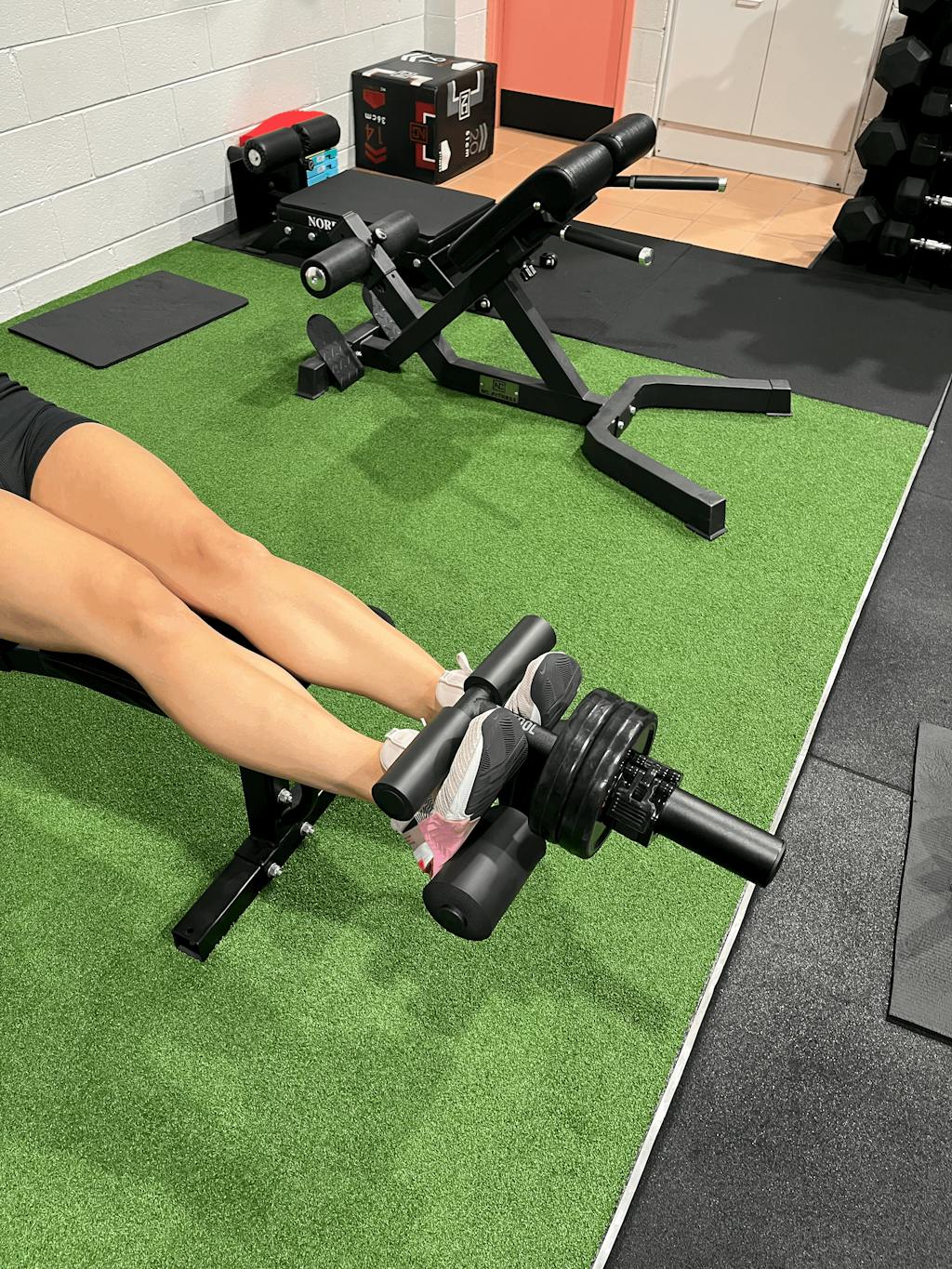 Tib Tool™ Olympic (Pre-Order)