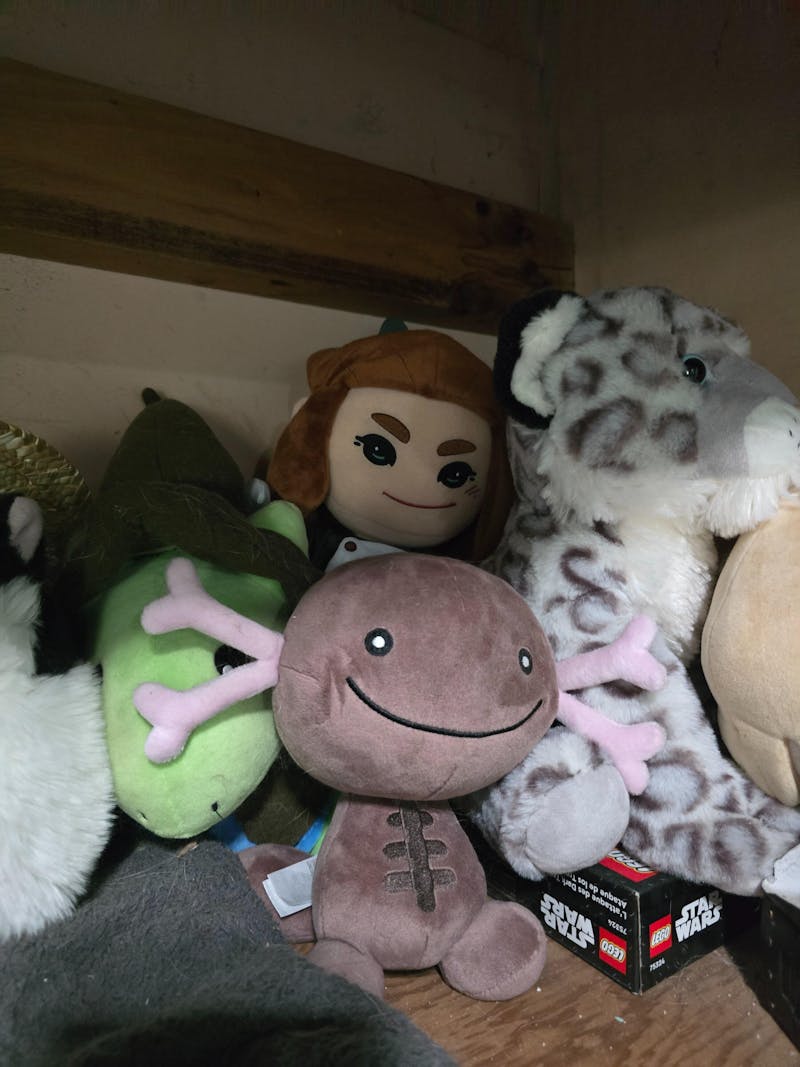 Erin Collectible Plush