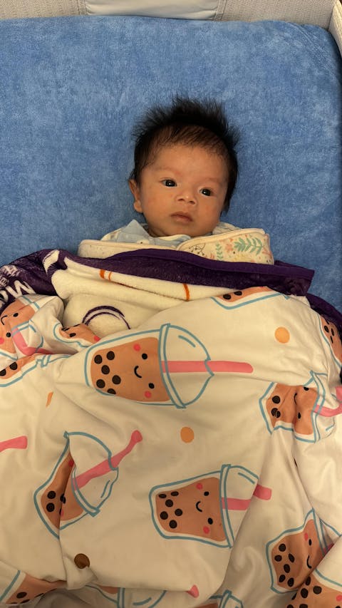 Organic Bamboo Swaddle Blanket - Bakery Buns