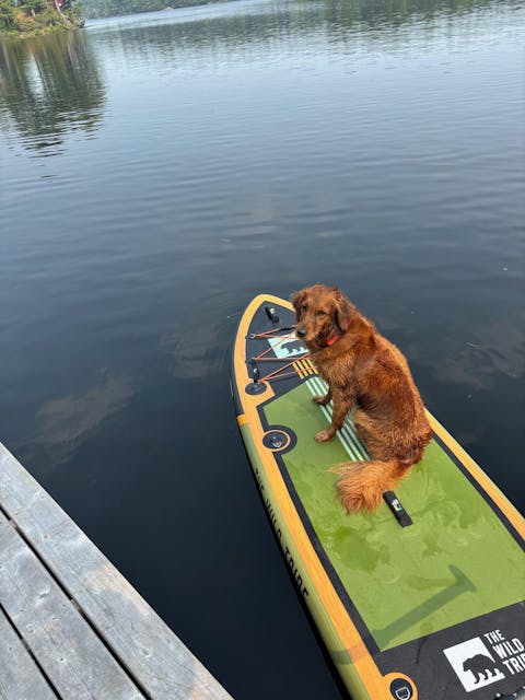 Paddleboard Kayak Seat