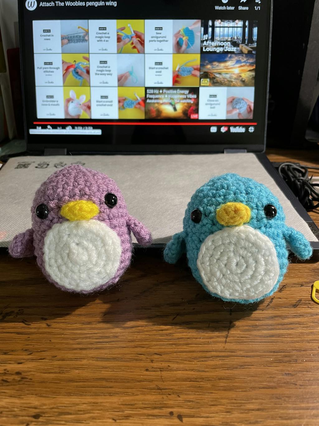 Limited Edition Penguin Crochet Kit The Woobles