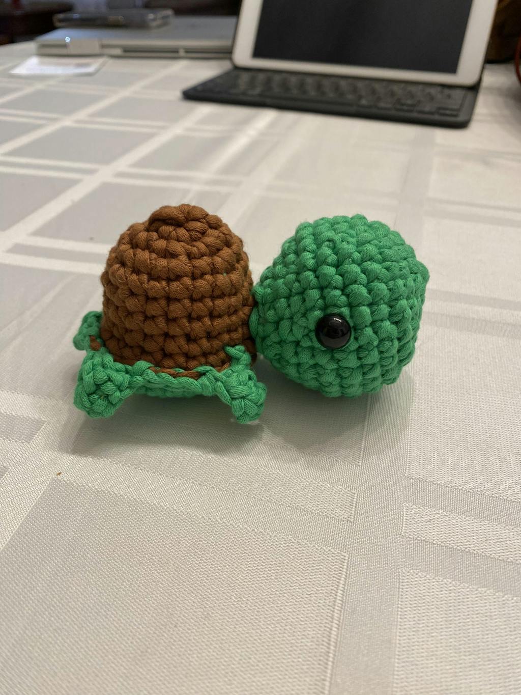 Turtle Crochet Kit | The Woobles