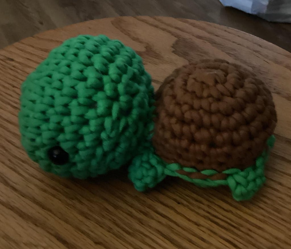 Turtle Crochet Kit | The Woobles