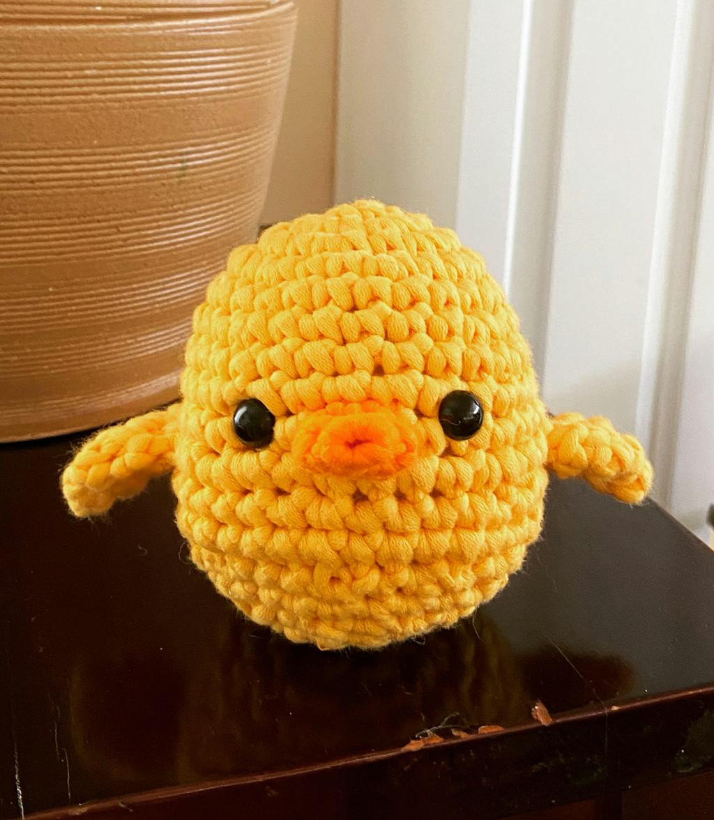 Chick Crochet Kit for Beginners | The Woobles