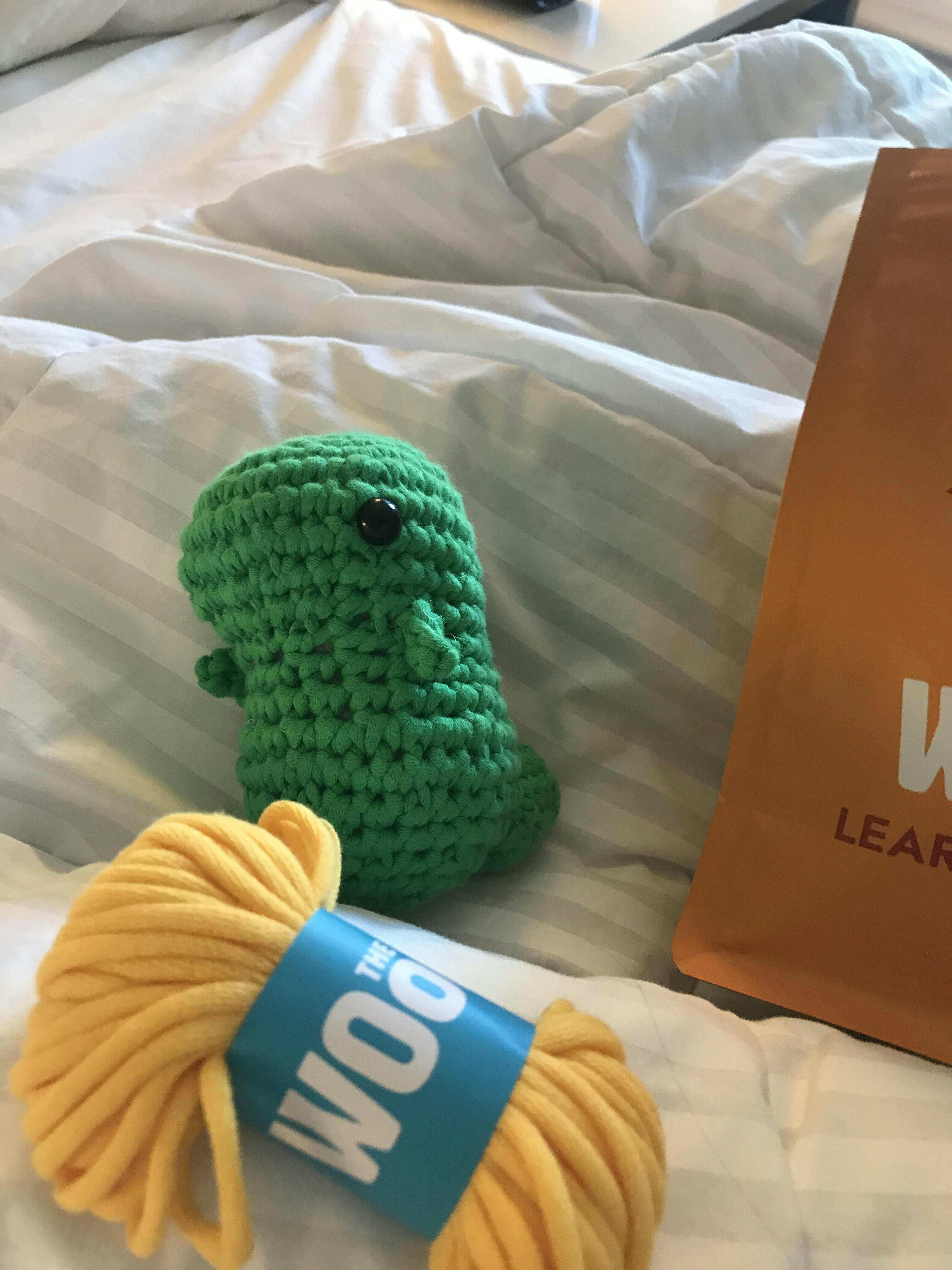 Dinosaur Crochet Kit for Beginners The Woobles