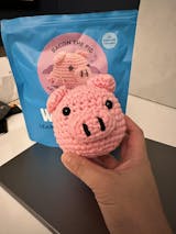 The Woobles Crochet Kit - Bacon the Pig – DART Boutique