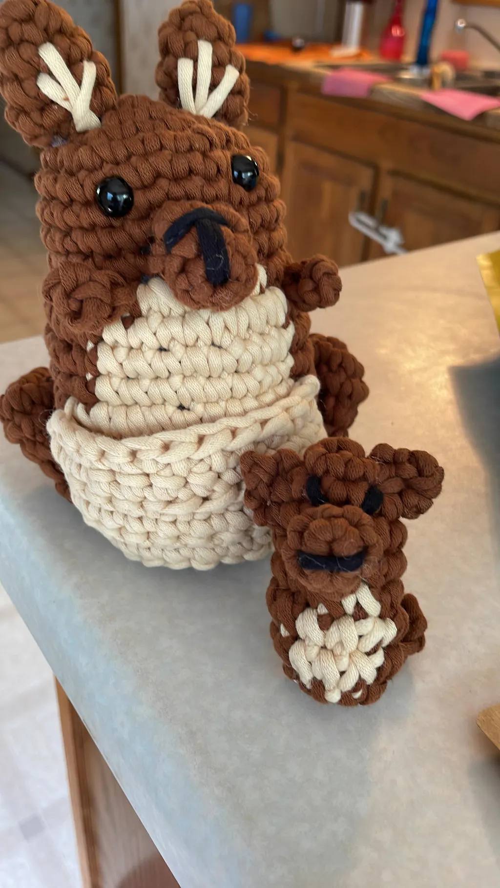 Bacon the Pig Beginner Crochet Kit