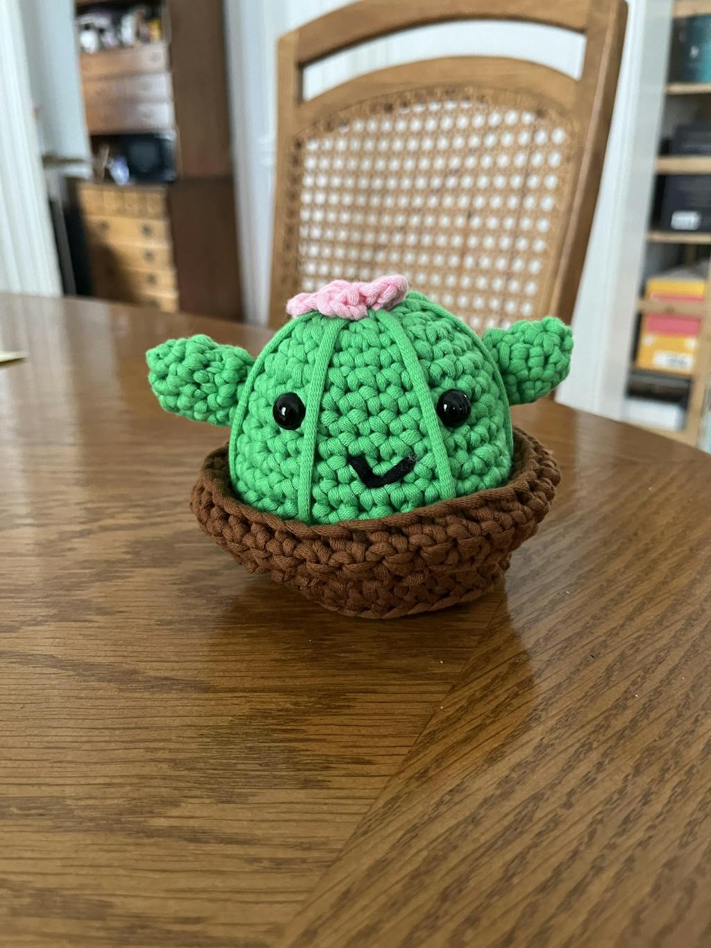 Cactus Crochet Kit Learn to Crochet with The Woobles