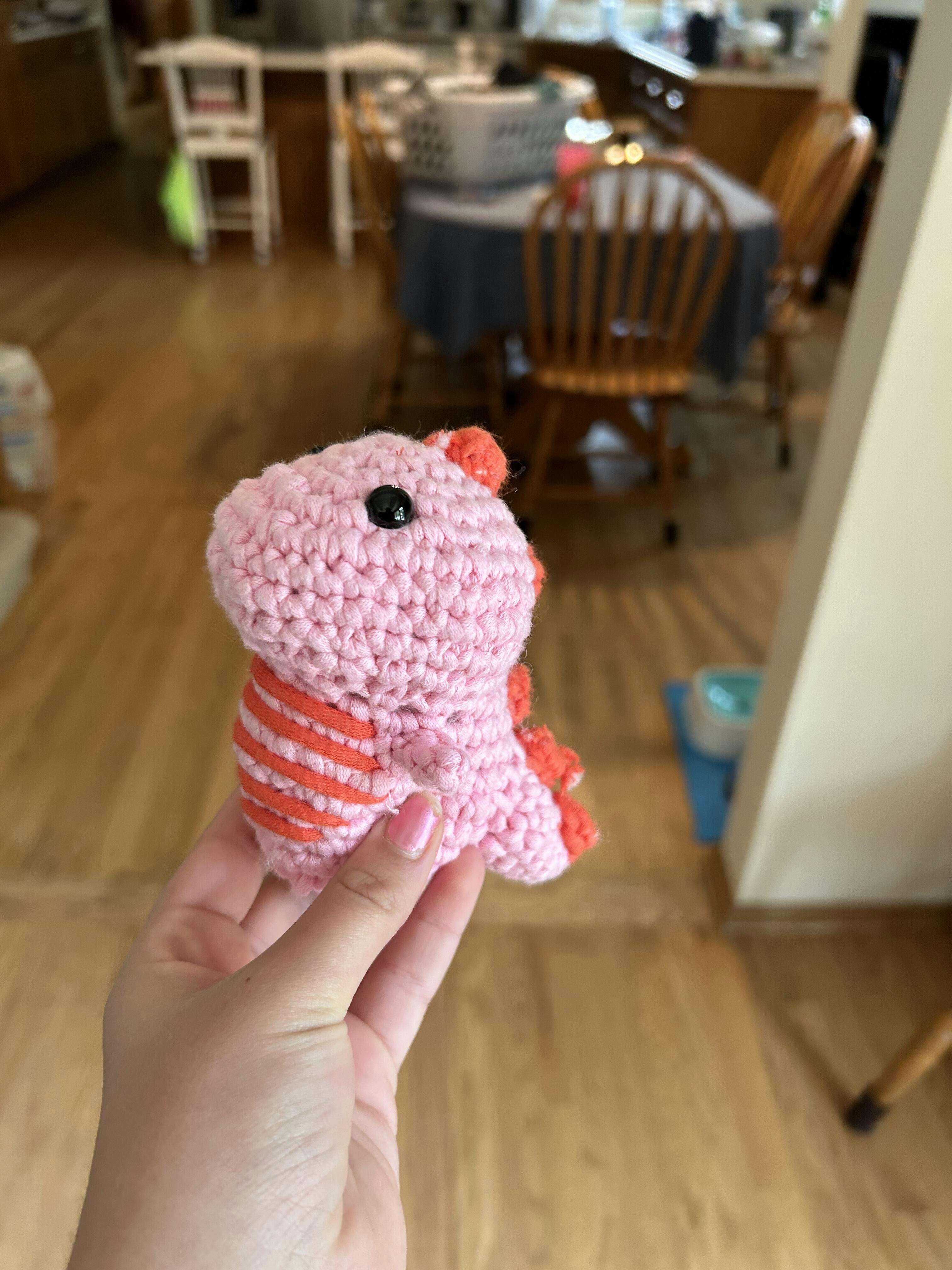 Dinosaur Crochet Kit for Beginners The Woobles