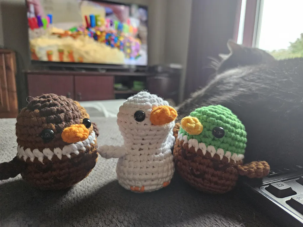 Duck, Duck, Goose Bundle | The Woobles