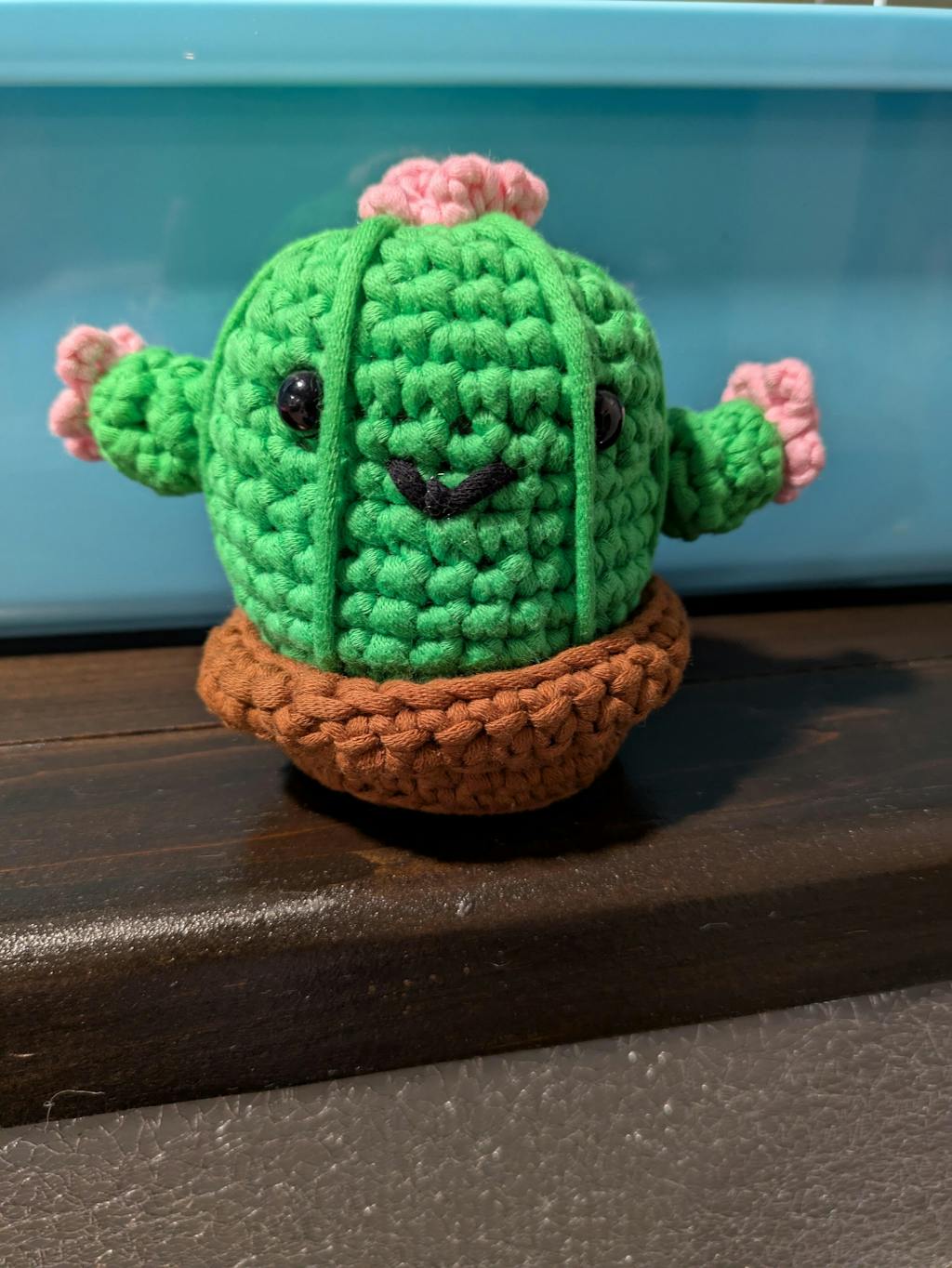 Cactus Crochet Kit Learn to Crochet with The Woobles