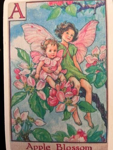 Wild Cherry Blossom Fairy Flower Fairies™ Vintage Botanical Card