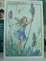 LAVENDER FAIRY