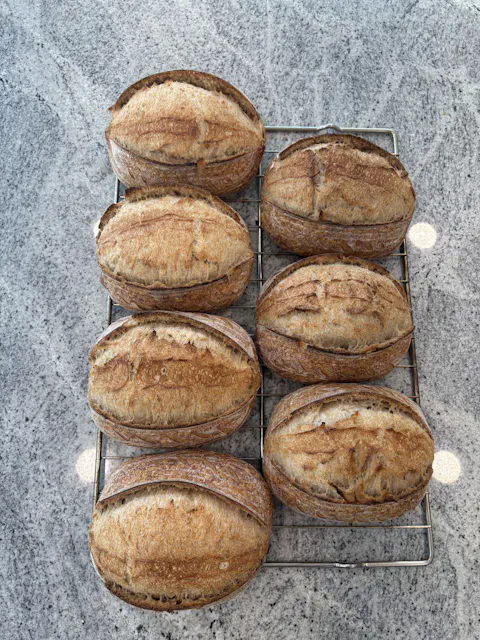 Open crumb baked by James Forney