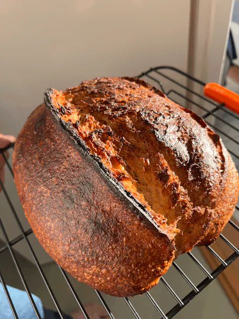 Open crumb baked by Andreas from Gotland, Sweden