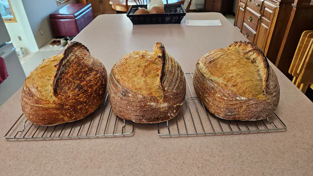 Open crumb baked by Tom Clark