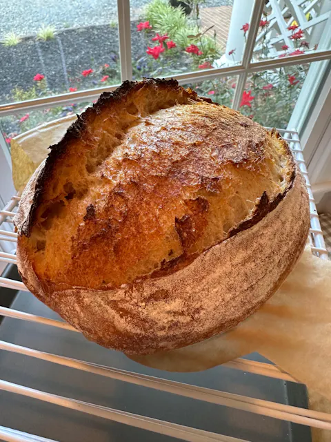 Open crumb baked by Robert Novak